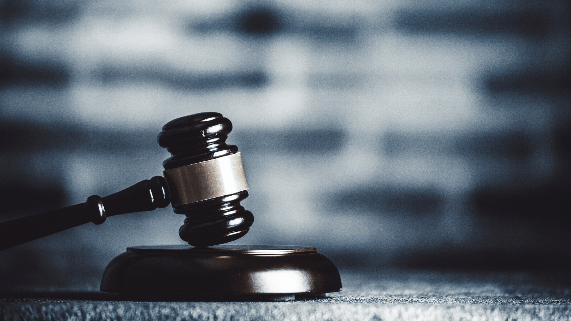 Contrax Blog Everything You Need to Know Before Attending an Auction